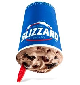 1 serving (304 g) Mocha Chip Blizzard (Small)