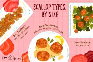 1 serving (4 oz) Scallops