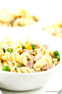 1 serving (4 oz) Tuna Pasta Salad