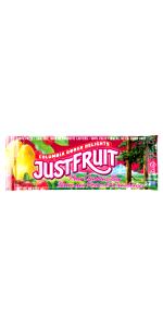 1 Serving 40 Gram Justfruit Bars - Pear Cranberry