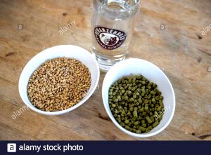 1 serving (427 g) Cherry Malt (Small)