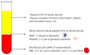 1 serving (5 g) Super Plasma Protein