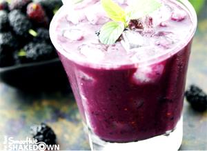 1 serving (8 oz) Blackberry Basil Smoothie