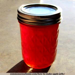 1 Serving Apple Jelly