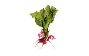 1 Serving Baby Candy Cane Beets