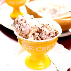 1 Serving Butter Pecan Ice Cream - Like İt Size