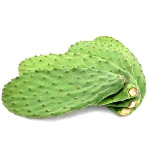 1 Serving Cactus Leaves (Nopales)