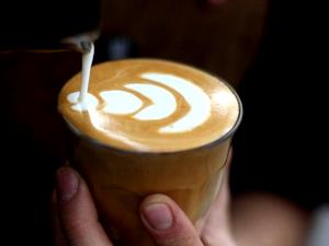 1 Serving Cafe Latte, Regular Whole Milk