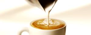 1 Serving Cappuccino, Large (Nonfat Milk)