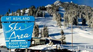 1 Serving Iced Snowy Mt. Ashland 2% Milk 12Oz