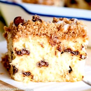 1 Serving Chocolate Chip Coffee Cake