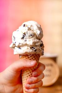 1 Serving Chocolate Chip - Single Scoop Ice Cream