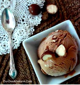 1 Serving Chocolate Malt Twist Ice Cream