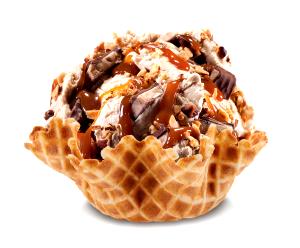 1 Serving Coffee Lovers Only Ice Cream