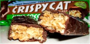 1 Serving Crispy Cat - Chocolate Sundae Bar