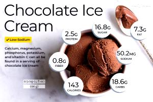 1 Serving Dark Chocolate Ice Cream - Like İt Size