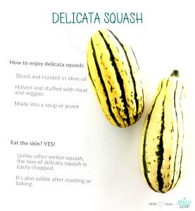 1 Serving Delicata Squash