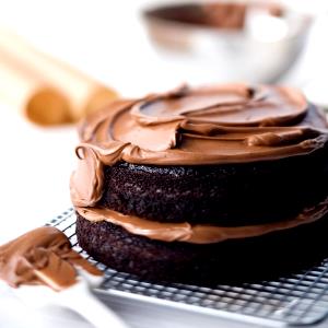 1 serving Double Chocolate Cake