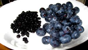 1 Serving Dried Blueberries