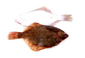 1 serving Flounder (Full Portion)