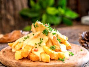 1 Serving French Fries W/Cheese - Regular