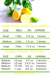 1 Serving Fresh Lemon Add-In - Medium