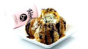 1 Serving Fried Ice Cream Arctic Blender-Light Small