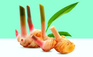 1 Serving Galanga Root