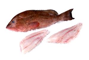 1 Serving Grouper