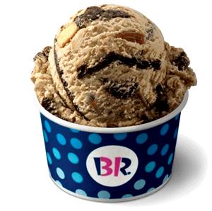 1 Serving Jamoca Almond Fudge Ice Cream - 2.5 Oz Scoop