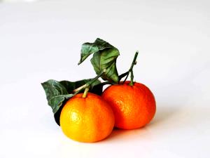 1 Serving Kids Side Of Mandarin Oranges