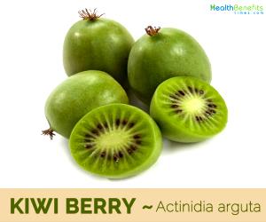 1 Serving Kiwi Berry