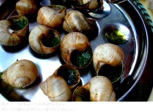1 Serving Land And Sea, Bourguignonne