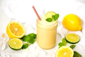 1 Serving Lemon Ice Smoothie