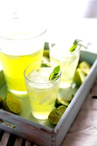 1 serving Lime-Mint Fresco