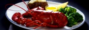 1 Serving Live Maine Lobster - 1 1/4 Lb, Steamed