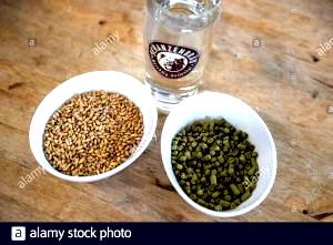 1 Serving Malt, Cherry - Small