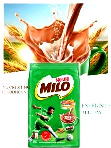 1 Serving Malt, Chocolate - Small