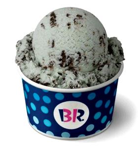 1 Serving Mint Chocolate Chip Ice Cream - 4 Oz Scoop