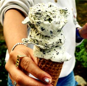 1 Serving Mint Chocolate Chip Ice Cream