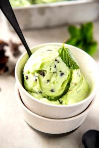 1 Serving Mint Chocolate Chip Low Fat Ice Cream