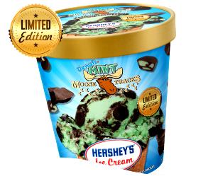 1 Serving Mint Cup Moosetracks Ice Cream