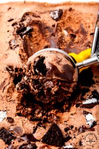 1 Serving Mississippi Mud Ice Cream - 2.5 Oz Scoop