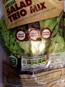 1 serving Mixed Green Salad (Trio Size)