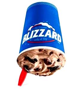 1 Serving Mocha Chip Blizzard - Large