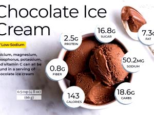 1 Serving No Fat Chocolate Regular Cup Ice Cream
