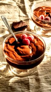 1 Serving Nondairy Dessert, Chocolate