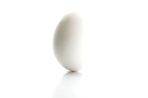 1 Serving One Fresh Egg