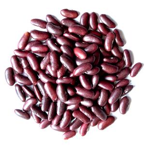 1 Serving Organic Kidney Beans - Dark Red