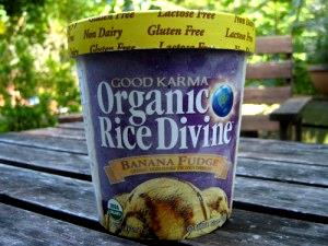1 Serving Organic Rice Divine - Banana Fudge Dessert